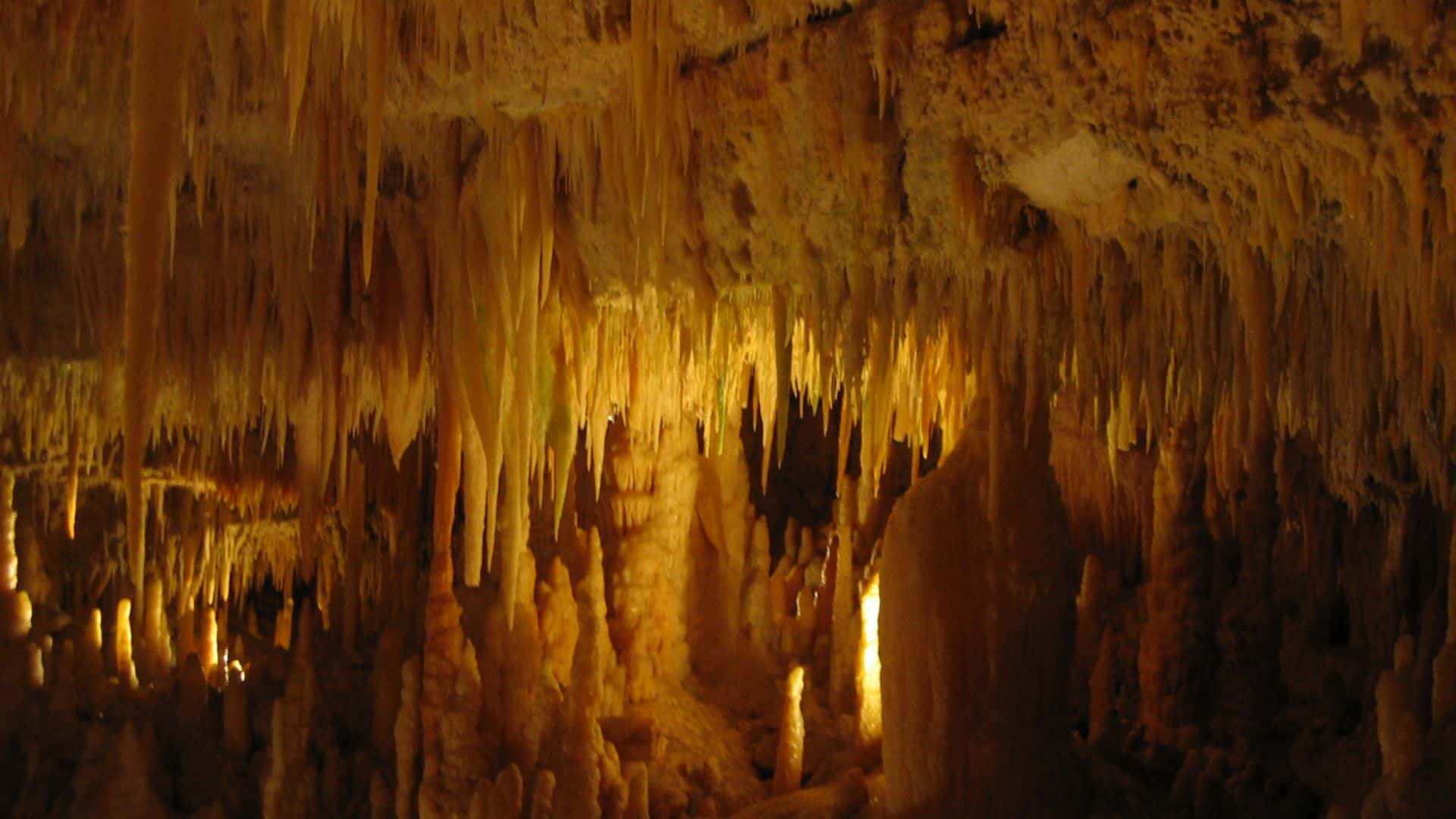 Interno delle grotte di Castellana di ReMagio di Wikipedia